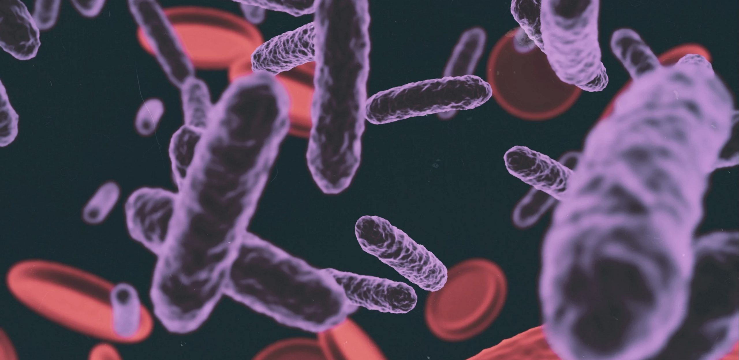 Formations aux risques sanitaires de la Légionellose par le centre Purity Formation